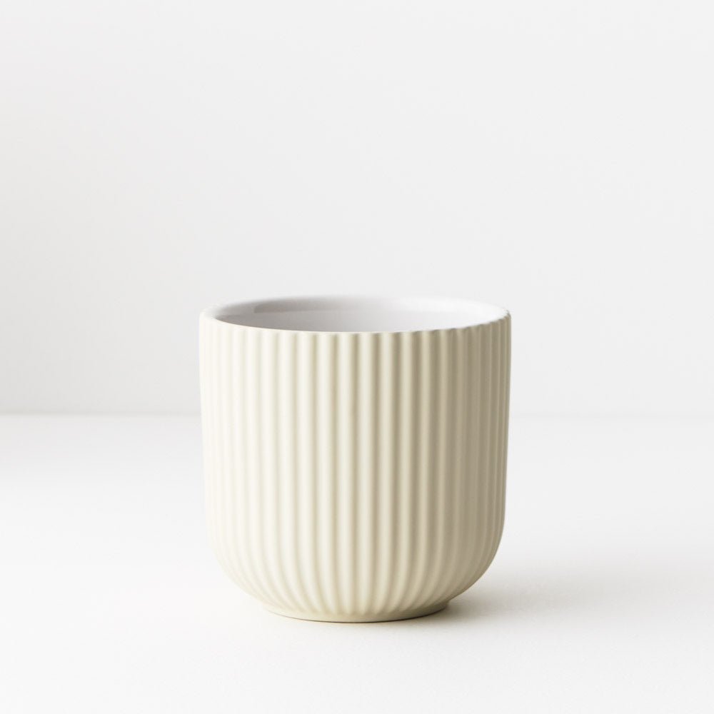 Pot Palina - Ivory extra small – Esperance Luxe Floral & Home Co.